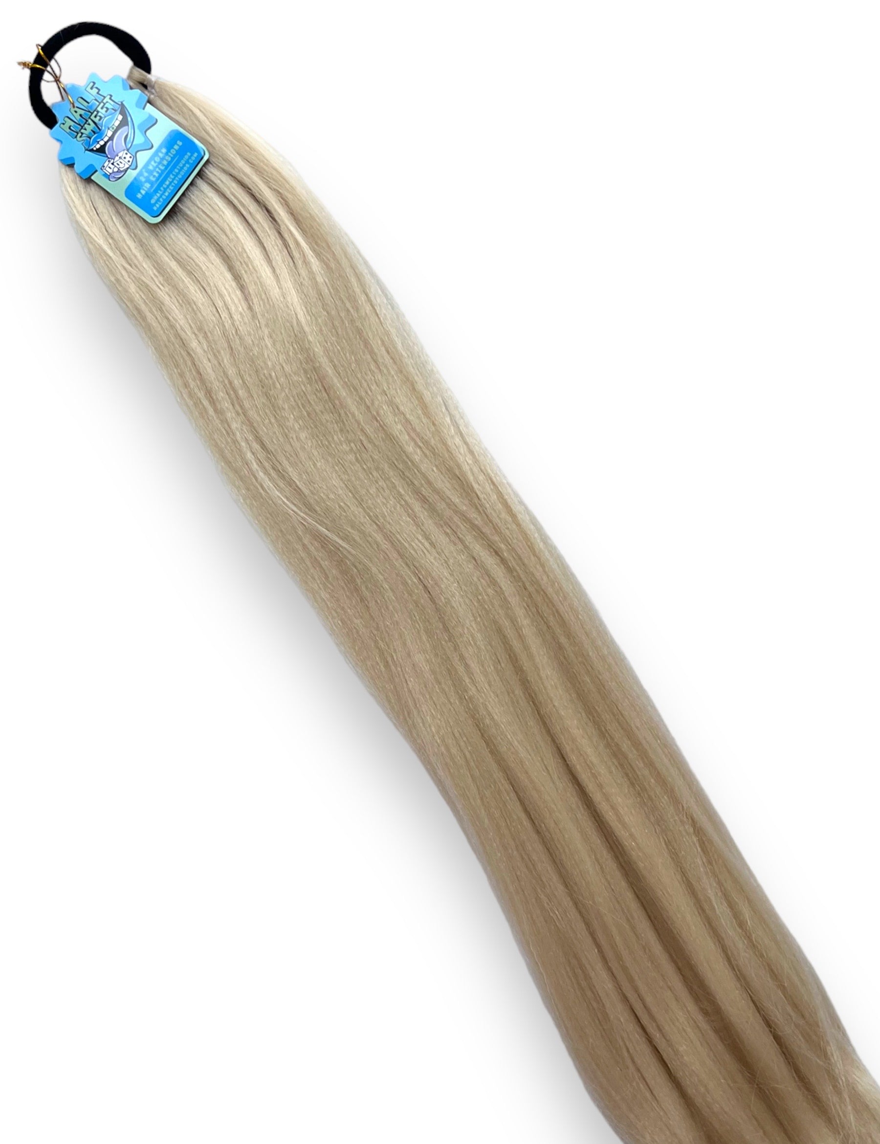 AshBlondePony.jpg