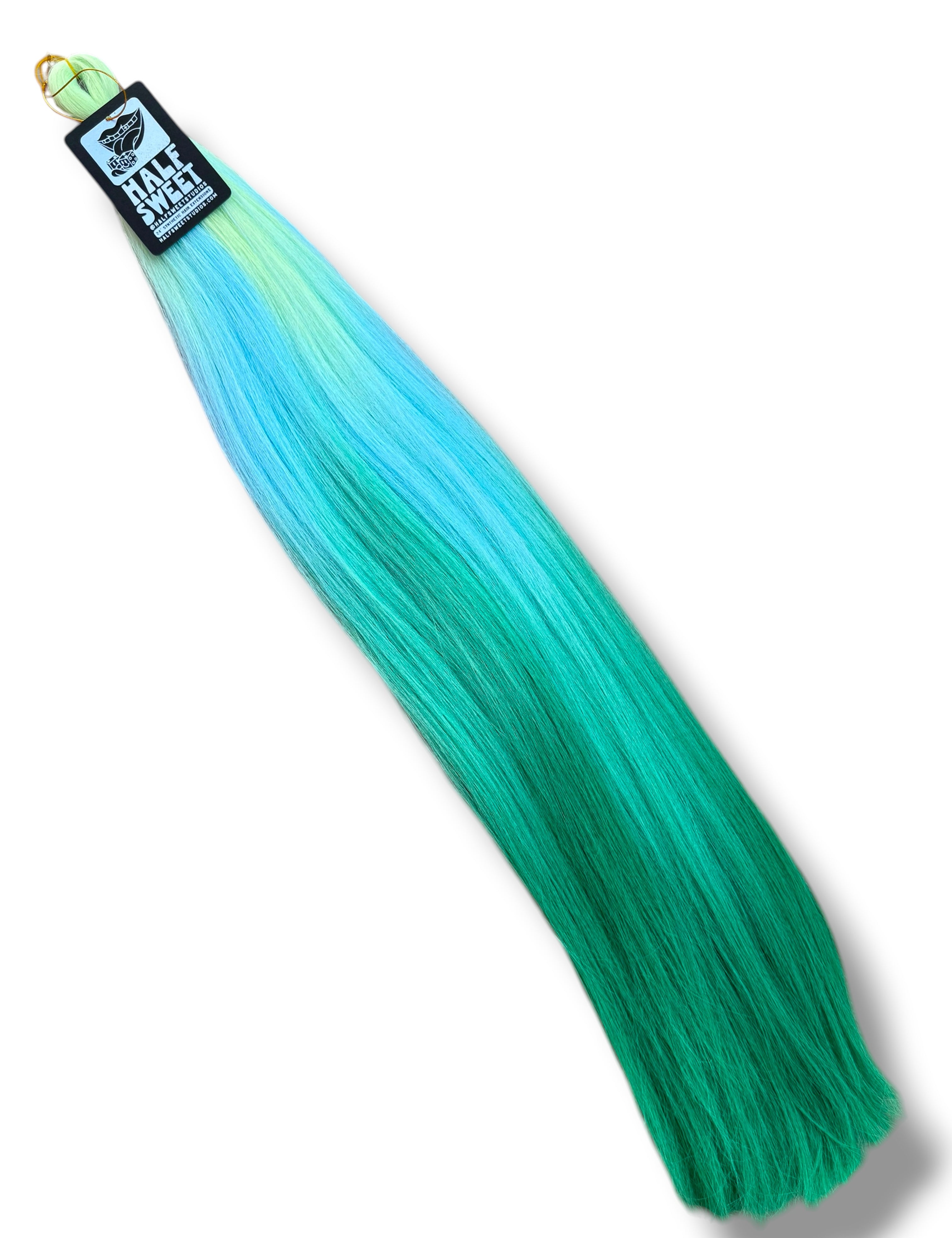 FirstEncounterBraiidngHair.jpg