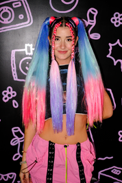 What Are We? - Ombré Braiding Hair